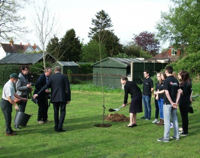 Planting the commemorative red oak tree, Farnham College, 30 April 2014
